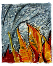 Herbe Ã  pintade (2005) : Craie sÃ¨che sur Papier de riz   36 x 25 cm.