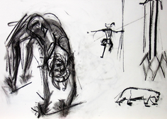 Sans Titre (2006) : Fusain sur Papier   30 x 40 cm.