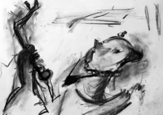 Sans Titre (2006) : Fusain sur Papier   30 x 40 cm.