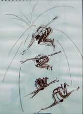 Le Saut (2006) : Craie sur Papier   40 x 30 cm.