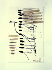Quatorze (2009) : Encre sur Papier   32 x 24 cm.