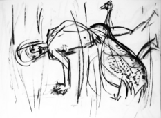 Sans Titre (2004) : Fusain sur Papier   42 x 57 cm.