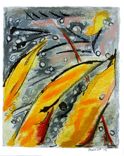 Herbe à pintade (2005) : Craie sèche sur Papier de riz   36 x 25 cm.