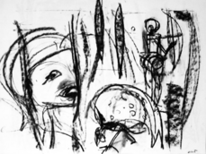 Sans Titre (2005) : Fusain sur Papier   42 x 57 cm.