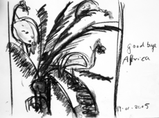 Good bye Africa (2005) : Fusain sur Papier   30 x 41 cm.