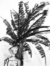 Good bye Africa (2005) : Fusain sur Papier   30 x 30 cm.