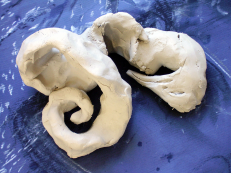 Sans Titre (2010) : Craie sur Papier   0 x 0 cm.