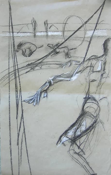 Les Ânes